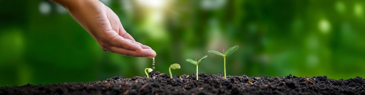 freepik__expand__57771