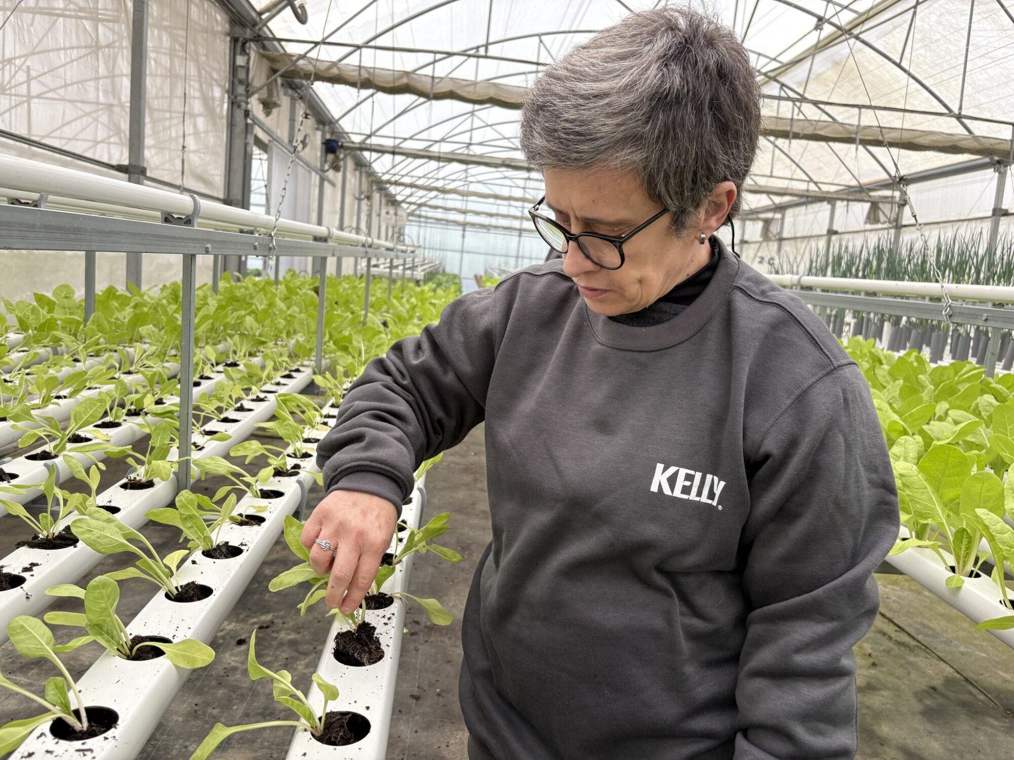 Ato solidário da Gi Group