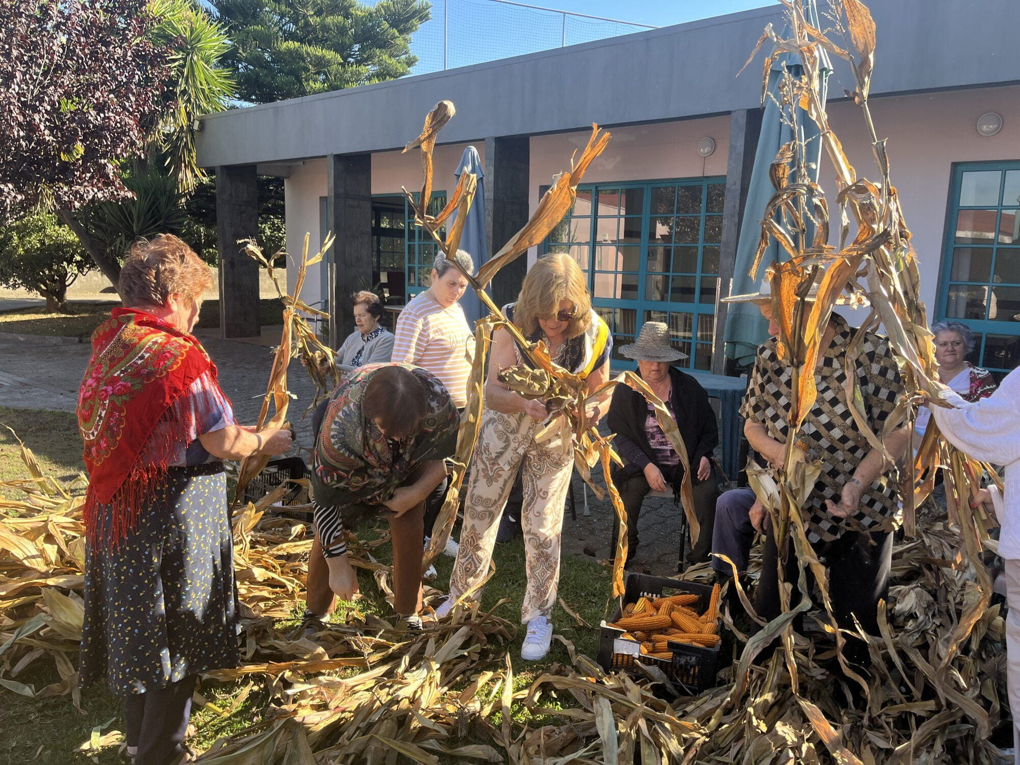 "Reviver as nossas tradições" | Desfolhada do Centro de Dia do CSPR