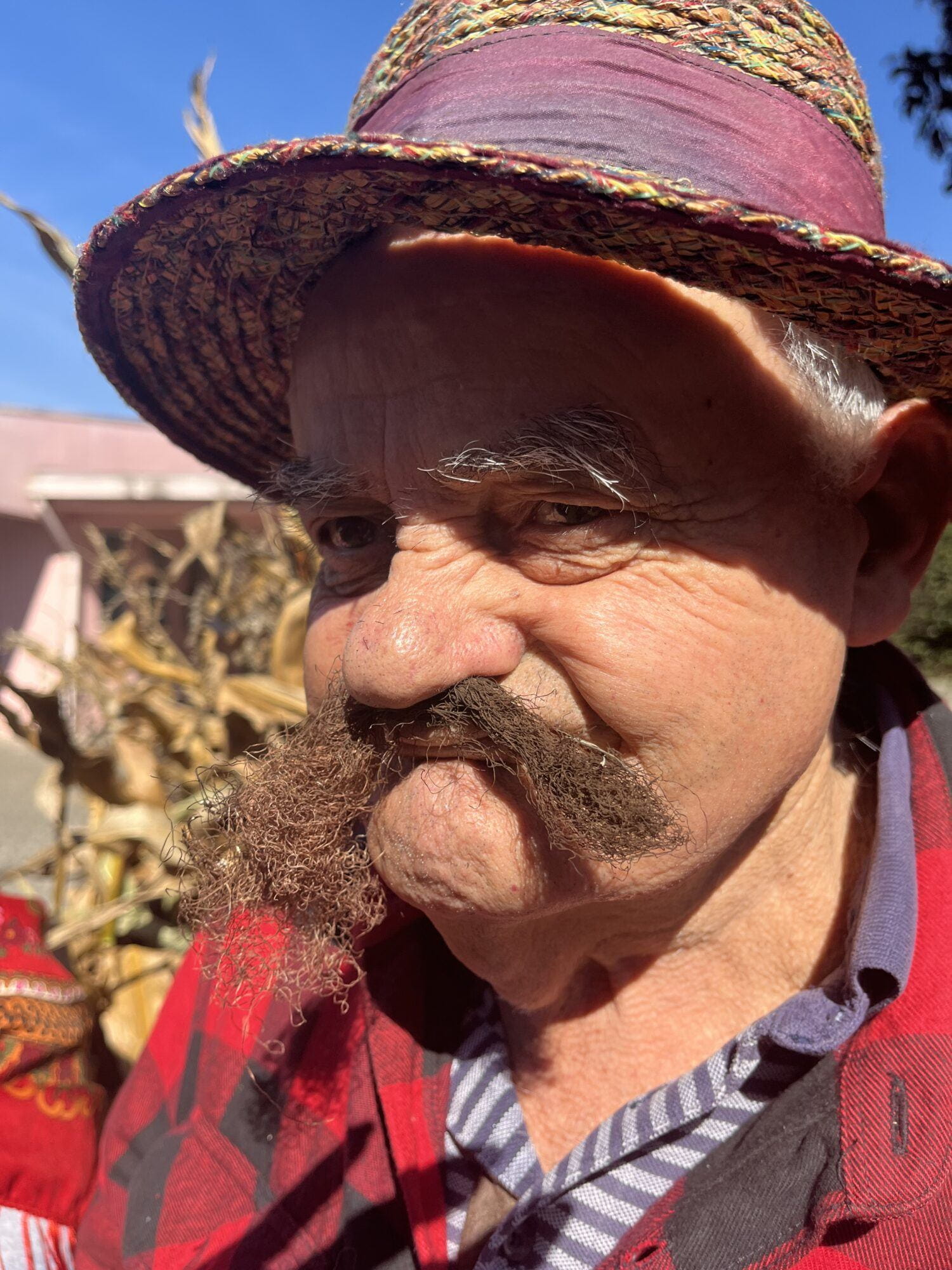 "Reviver as nossas tradições" | Desfolhada do Centro de Dia do CSPR