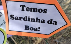Idosos do Centro de Dia a festejar os Santos Populares