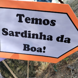 Idosos do Centro de Dia a festejar os Santos Populares