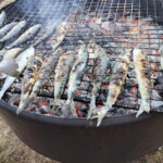 Idosos do Centro de Dia a festejar os Santos Populares