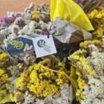O Dia dos Avós foi comemorado em festa no CSPR!