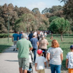 Caminhada Solidária Idosos 2025
