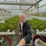 Dia Mundial da Alimentação e do Pão - Lar Santa Ana