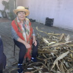 "Reviver as nossas tradições" | Desfolhada do Centro de Dia do CSPR