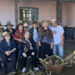"Reviver as nossas tradições" | Desfolhada do Centro de Dia do CSPR