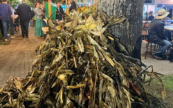 Abertura do Ano Letivo 2025/26 - Desfolhada