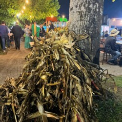 Abertura do Ano Letivo 2025/26 - Desfolhada