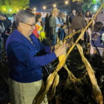 Abertura do Ano Letivo 2025/26 - Desfolhada
