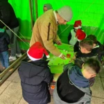 Natal Encantado