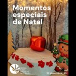 Momentos especiais de Natal
