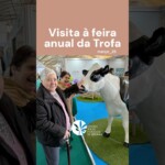 Visita à feira anual da Trofa