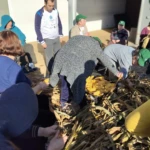 Desfolhada Inclusiva