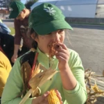 Desfolhada Inclusiva